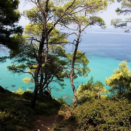 ελισάβετ 2* Kallithea (Chalkidiki)